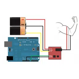 EMG Muscle Sensor Module V3.0 with Cable And Electrodes image 3