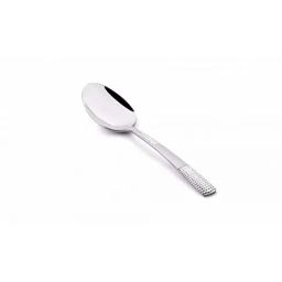 FnS Zest Silver Stainless Steel Serving Spoon-38