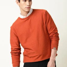 Rare Rabbit Rust Regular Fit Textured Sweatshirt-picture-34