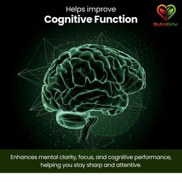nutraliebe 5-HTP 200mg with L-Tyrosine, Zinc, Vitamins B6 & B9, Magnesium, Ashwagandha, Green Tea Extract - 90 Capsules for Mood, Relaxation, and Cognitive Support image 5