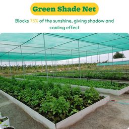 VENZISA Multipurpose Green Shade Net | UV-Stabilized Agro & Garden Net | Blocks 75% Sunlight (5 ft X 10 ft) image 4