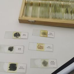 Geology Thin Section Prepared Mineral Slides Set 15 Pcs image 1