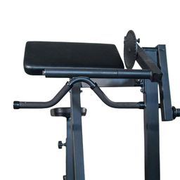 Bodylean Fitness Plate Loaded Bicep Curl and Tricep Extension Machine, Rated 110 Kg, Specialty Arm Machine | Bicep Curls and Tricep Extensions in one Machine image 2