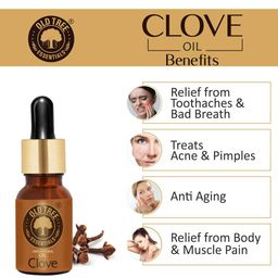Old Tree Pure and Natural Clove Bud Essential Oil (15ml) - for Skin, Teeth, Diffuser and Aromatherapy - Undiluted Massage Oil with Glass Dropper image 3