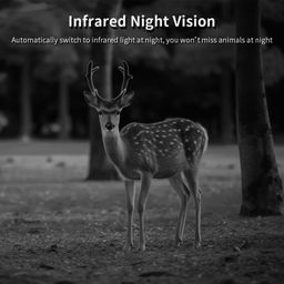 CLEGO T9 4G Trail Camera with Solar Panel, 2.7K Video, 14MP Photos, IR Night Vision, GPS, 0.35s Trigger Speed IP66 Waterproof, Live View Remote APP Access for Wildlife, Farm and Forest Security image 5