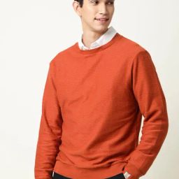 Rare Rabbit Rust Regular Fit Textured Sweatshirt image 2