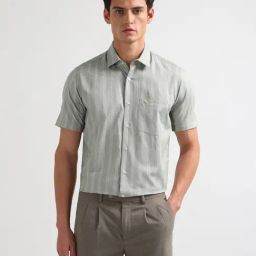 Arrow Green Cotton Regular Fit Striped Shirt-picture-25
