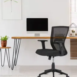Nilkamal Hexon Black Mesh Mid Back with Adjustable Arm Chair-image-57