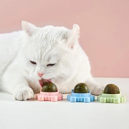 sunkizzrs Catnip Toy (1 Pcs) Catnip Balls Catnip Wall Toys for Cats Rotatable Edible Mint Natural Healthy Teeth Cleaning Chew Claw Toy for Cat/Kitten (Green) image 5