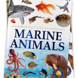 Animals - Marine Animals-image-62