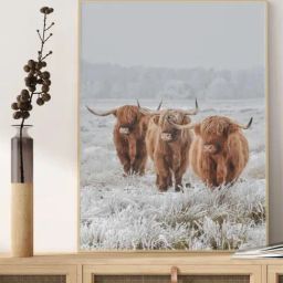 Indian Classic Art Multicolor Canvas Abstract Wall Art-45