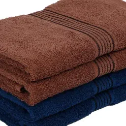 bianca LORENA 100% Cotton Super-Soft Terry Towels -4pc Hand Towel (d`ross) solid-multi image 4