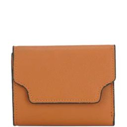 Globus Tan Solid Tri-Fold Wallet for Women-32