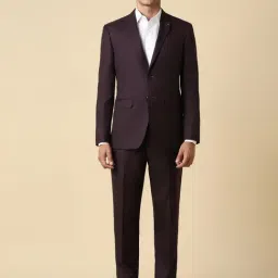 Allen Solly Maroon Slim Fit Texture Two Piece Suit-image-106