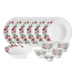 Larah by Borosil Silk Series Ayana 19 Piece Opalware Dinner Set-picture-11
