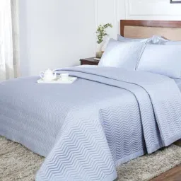 Maspar Blue Cotton Double Quilt-image-64