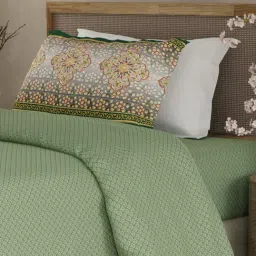 Boutique Living Heritage Walk Green Egyptian Cotton 200 TC Single Bedsheet with 1 Pillow Cover-image-32