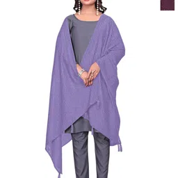 Kemza Pack Of 2 Geometric Embroidered Chanderi Cotton Dupatta With Beads and Stones-picture-13