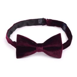Arrow Burgundy Pre Tied Bow Tie-picture-28