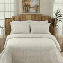 Boutique Living Gardenia Augusta White & Beige Cotton 300 TC King Bedsheet with 2 Pillow Covers-image-27