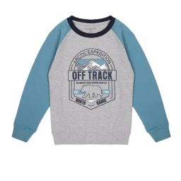 Plum Tree Kids Grey & Blue Printed Full Sleeves Sweatshirt-picture-15
