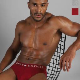 TOMMY HILFIGER Desert Sky, Medium Grey Heather & Rouge Mid Rise Briefs - Pack Of 3-picture-11