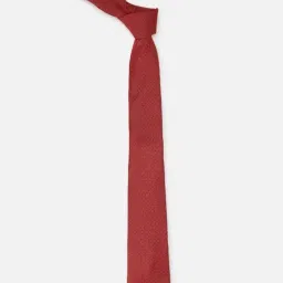 Van Heusen Red Embroidered Tie-image-74