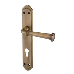 AceLine Door Handle Set Bergamo Series Hot Forged Solid Brass EBM Finish-image-80