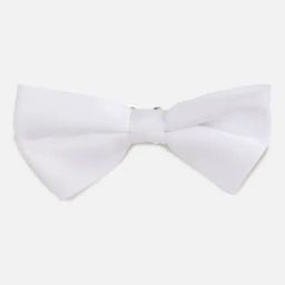 Van Heusen White Solid Bow Tie-picture-23