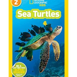 National Geographic Readers Sea Turtles Story Book By Laura Marsh - English-25