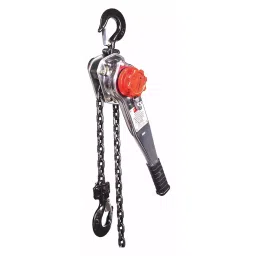 Dayton Lever Chain Hoist Hook Mounted 3000 lb 20 ft, 29XP40-image-88