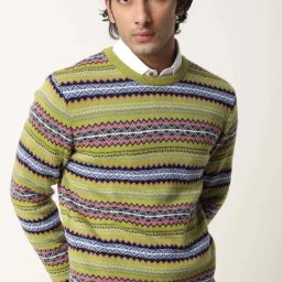 Rare Rabbit Green Slim Fit Fit Textured Sweatshirt-picture-10