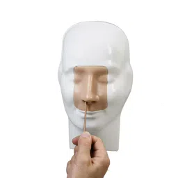 A-ONE SCIENCE PVC Advanced Nasal Hemorrhage Simulator AOSBM275-picture-46