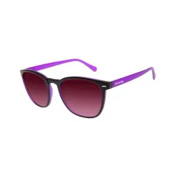 Chilli Beans Maroon Wayfarer UV Protection Sunglasses for Men-image-81