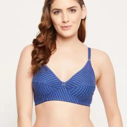 Clovia Blue Non Wired Non Padded Full Coverage Bra-image-79
