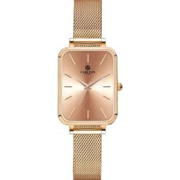 Carlton London CLDWMS-06 Diana Analog Watch For Women-32