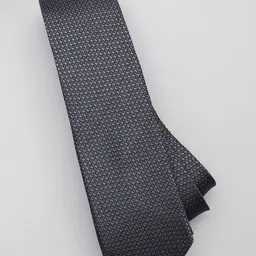 Peter England Men Printed Broad Tie-picture-38