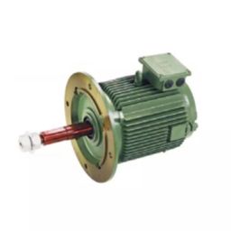 Hindustan 3 Phase 3 HP 6 Pole Flange Mounted Flameproof Cooling Tower Induction Motor 2ML2 123-0605-image-44