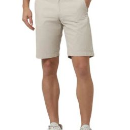 Van Heusen Beige Cotton Regular Fit Shorts-image-45