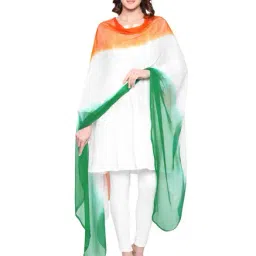 Dupatta Bazaar Multicolored Dupatta-31