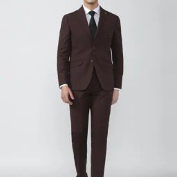 Peter England Brown Slim Fit Self Pattern Two Piece Suit-image-32