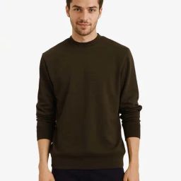 Rare Rabbit Olive Regular Fit Solid Sweatshirt-picture-12