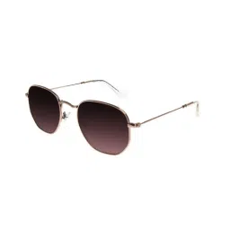 Chilli Beans Brown Round UV Protection Unisex Sunglasses-picture-9