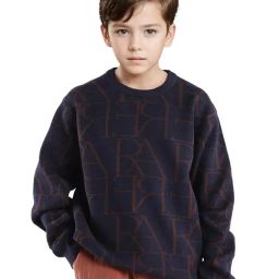 Rare Ones Boys Navy Cotton Printed Sweater-image-53