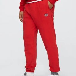 GAP Red Regular Fit Embroidery Joggers-image-92