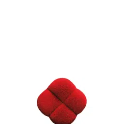 Shiseido Hanatsubaki Hake Polishing Face Brush-picture-28