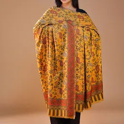 SWI Stylish Women Ethnic Motifs Woven Design Shawl-image-81