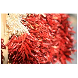 Inephos Red & Brown Wooden Wall Paintings-image-68