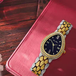 Bella Monza Women Dial & Stainless Steel Style Straps Analogue Watch AA_SilverGold_Black-image-92