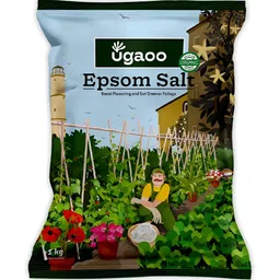 UGAOO Brown Epsom Salt - 1 Kg-image-36